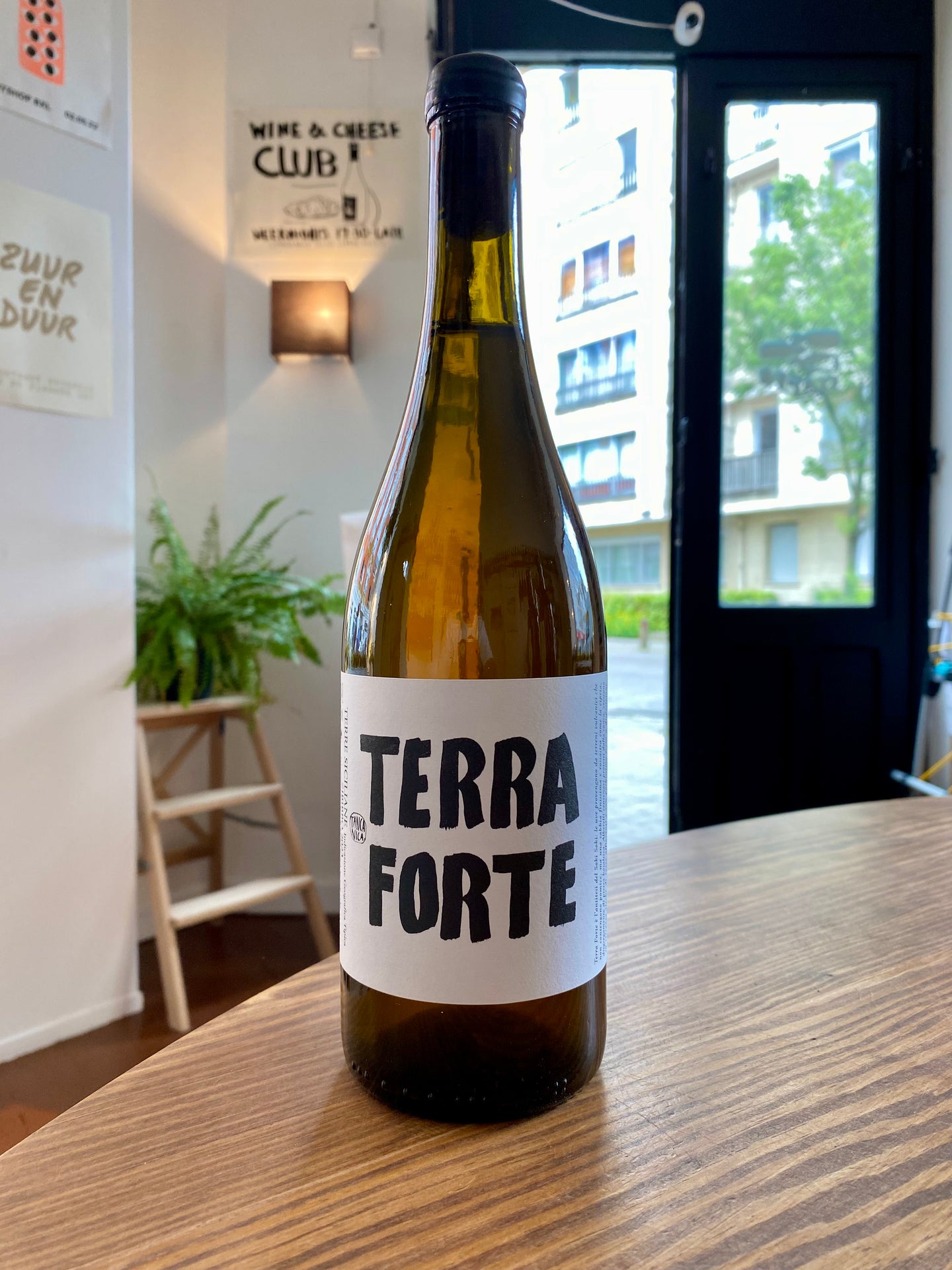 Terra Forte 2023